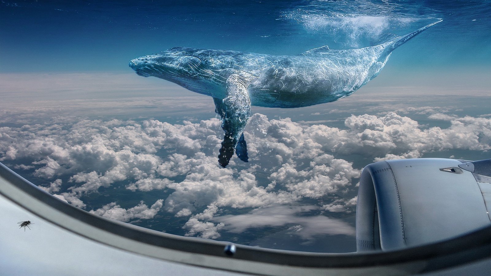 Photomontage Of Whale Swimming In The Sky